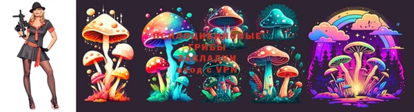 МДПВ Алексин