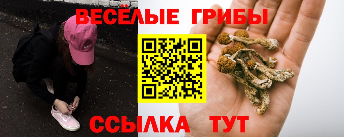 Когалым  как найти наркотики  Псилоцибиновые грибы мухоморы  Вход с VPN  Галлюциногенные грибы мухоморы 